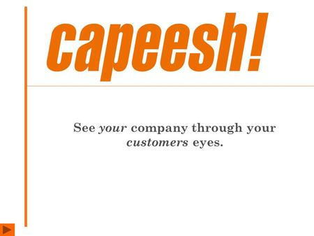 See your company through your customers eyes.. Evaluates the service provided by your company to current and potential customers by contacting them direct.