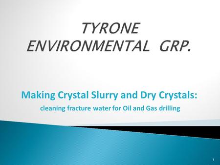 TYRONE ENVIRONMENTAL GRP.