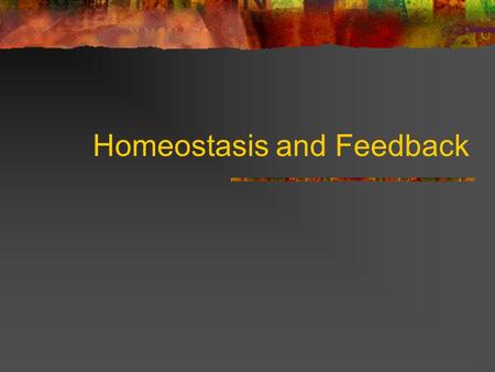 Homeostasis and Feedback