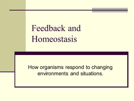 Feedback and Homeostasis