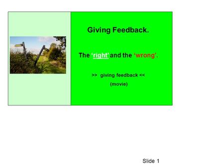 Giving Feedback. The right and the wrong. >> giving feedback 