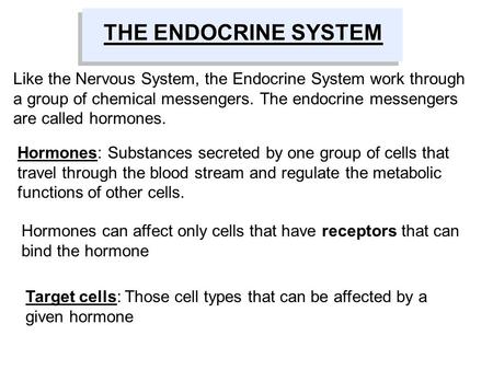 THE ENDOCRINE SYSTEM Like the Nervous System, the Endocrine System work through a group of chemical messengers. The endocrine messengers are called hormones.