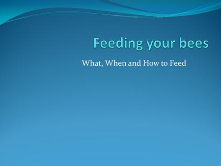 What, When and How to Feed. What and When to Feed Early Spring (January – February in bee time) The queen starts to lay again about mid to late January.