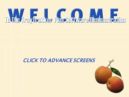 CLICK TO ADVANCE SCREENS