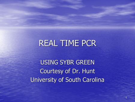 1 REAL TIME PCR USING SYBR GREEN Courtesy of Dr. Hunt University of South Carolina.