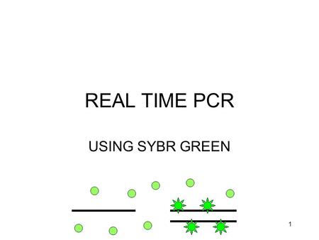 1 REAL TIME PCR USING SYBR GREEN. 2 THE PROBLEM NEED TO QUANTITATE DIFFERENCES IN mRNA EXPRESSION SMALL AMOUNTS OF mRNA –LASER CAPTURE –SMALL AMOUNTS.