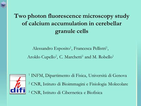 Two photon fluorescence microscopy study of calcium accumulation in cerebellar granule cells Alessandro Esposito 1, Francesca Pellistri 1, Aroldo Cupello.