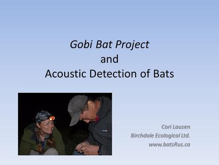 Gobi Bat Project and Acoustic Detection of Bats