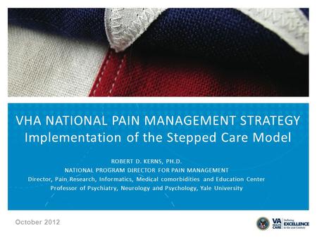 ROBERT D. KERNS, PH.D. NATIONAL PROGRAM DIRECTOR FOR PAIN MANAGEMENT