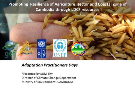 Adaptation Practitioners Days