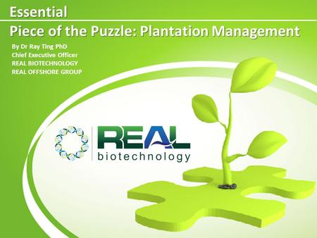 Essential Piece of the Puzzle: Plantation Management By Dr Ray Ting PhD Chief Executive Officer REAL BIOTECHNOLOGY REAL OFFSHORE GROUP.