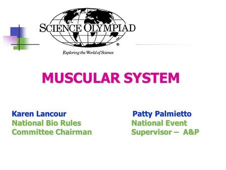 MUSCULAR SYSTEM Karen Lancour Patty Palmietto