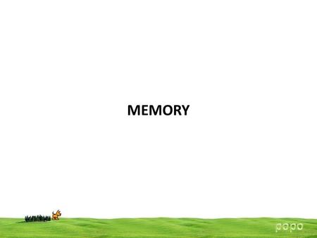 MEMORY popo.