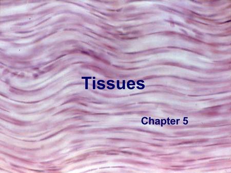 Tissues Chapter 5.