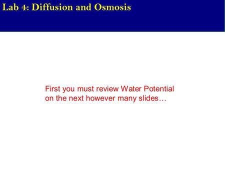 Lab 4: Diffusion and Osmosis