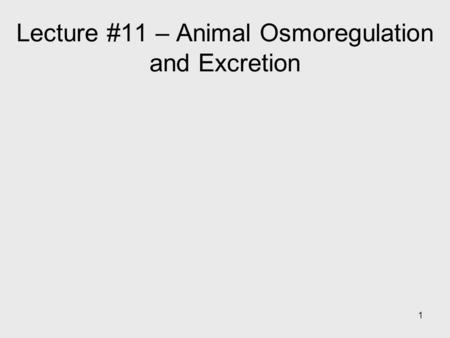 Lecture #11 – Animal Osmoregulation and Excretion