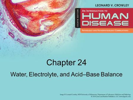 Water, Electrolyte, and Acid–Base Balance