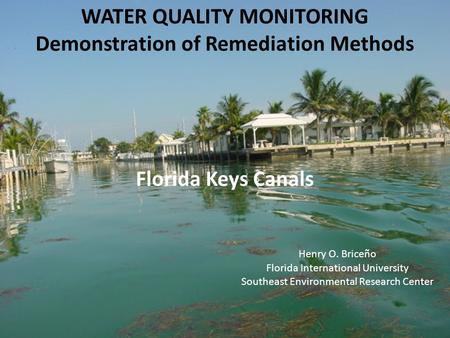 WATER QUALITY MONITORING Demonstration of Remediation Methods Florida Keys Canals Henry O. Briceño Florida International University Southeast Environmental.