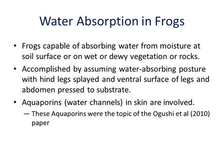 Water Absorption in Frogs Frogs capable of absorbing water from moisture at soil surface or on wet or dewy vegetation or rocks. Accomplished by assuming.