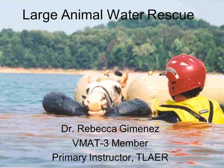 Large Animal Water Rescue Dr. Rebecca Gimenez VMAT-3 Member Primary Instructor, TLAER.