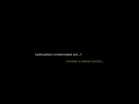 THE PROBLEM: Hydrocarbons in or on the soil THE PROBLEM: Hydrocarbons in or on the soil...from the level of a fresh spill to saturation over years.