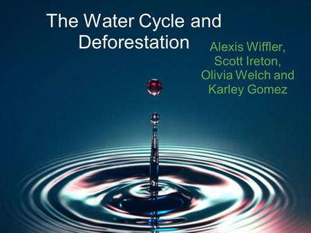 The Water Cycle and Deforestation