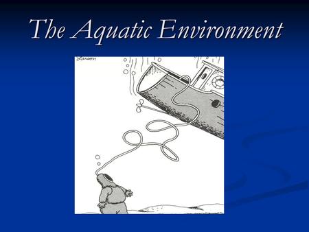 The Aquatic Environment. Estuaries A coastal body of water surrounded by land with access to the open ocean. A coastal body of water surrounded by land.