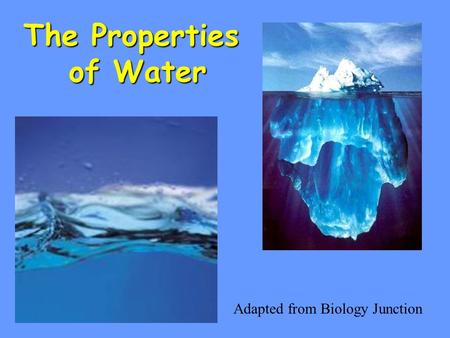 The Properties of Water