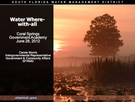 Water Where- with-all Coral Springs Government Academy June 28, 2012 Carole Morris Intergovernmental Representative Government & Community Affairs SFWMD.