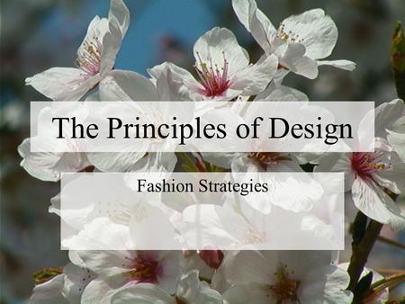 The Principles of Design