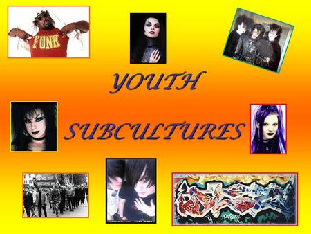 YOUTH SUBCULTURES.