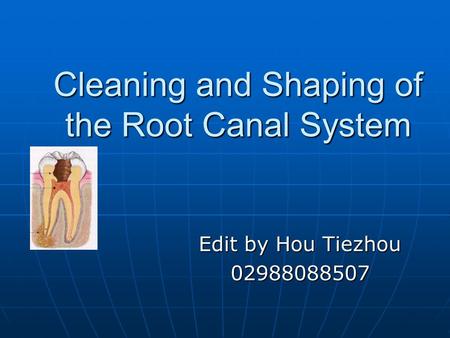 Cleaning and Shaping of the Root Canal System