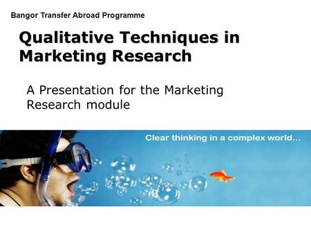 Qualitative Techniques in Marketing Research