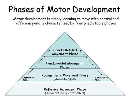 Phases of Motor Development