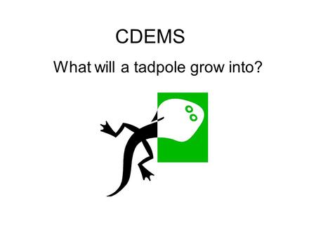 CDEMS What will a tadpole grow into? CDEMS What will a tadpole grow into? A tadpole will grow into a ___.