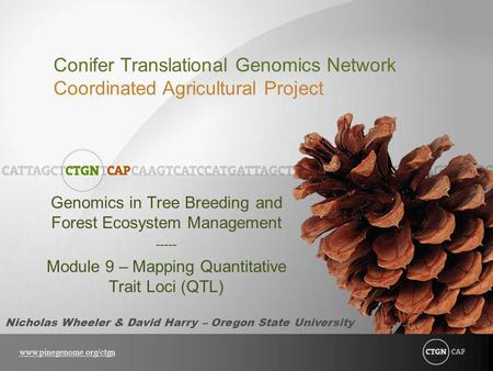 Conifer Translational Genomics Network Coordinated Agricultural Project www.pinegenome.org/ctgn Genomics in Tree Breeding and Forest Ecosystem Management.