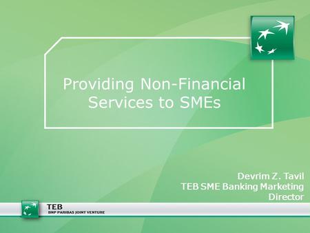 Providing Non-Financial Services to SMEs