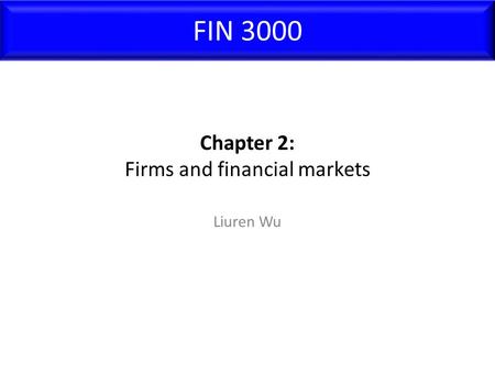 Chapter 2: Firms and financial markets