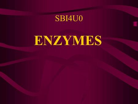 SBI4U0 ENZYMES.