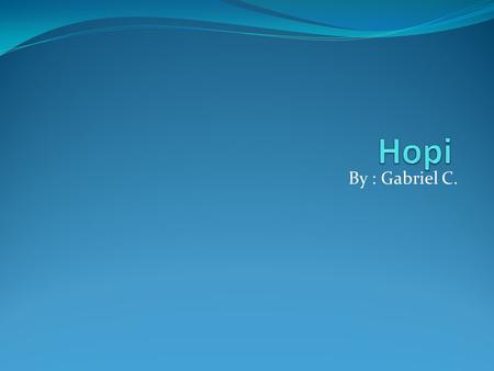 Hopi By : Gabriel C..