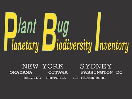 Heteroptera: True Bugs 7 infraorders 85 families 40,000 described species.