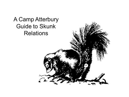 A Camp Atterbury Guide to Skunk Relations. Striped Skunks (Mephitis Mephitis) are short and stocky, with a small elongated head. Legs are short with powerful.