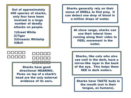 Out of approximately 400 species of sharks, only four have been involved in a large number of deadly attacks on people. 1)Great White 2)Tiger 3)Oceanic.