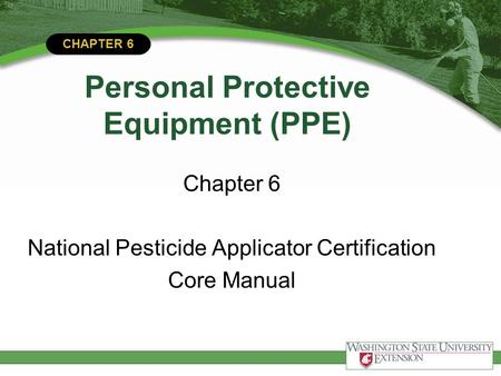 Personal Protective Equipment (PPE)