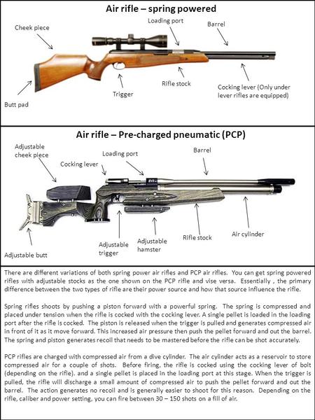 Air rifle – spring powered Air rifle – Pre-charged pneumatic (PCP)