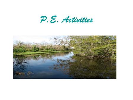 P.E. Activities. List of animals for Who Am I Earth worm Otter Big Mouth Bass Yellow Rat Snake Dragonfly Black Bear Field MouseMosquito White Tailed.