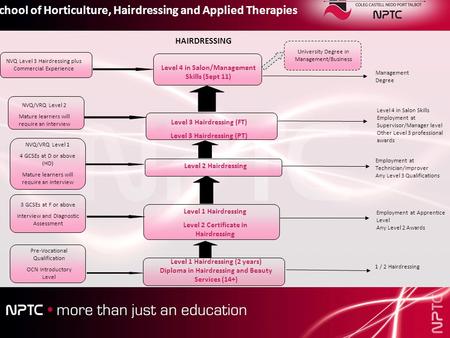 Level 1 Hairdressing (2 years) Diploma in Hairdressing and Beauty Services (14+) Level 1 Hairdressing Level 2 Certificate in Hairdressing Level 2 Hairdressing.