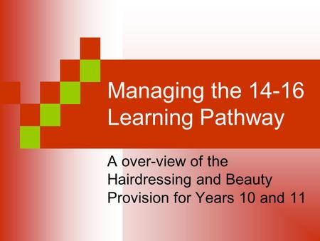 Managing the 14-16 Learning Pathway A over-view of the Hairdressing and Beauty Provision for Years 10 and 11.