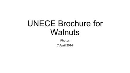 UNECE Brochure for Walnuts Photos 7 April 2014. Adhering Husk/Hull < 10% (allowed). Photo 1.