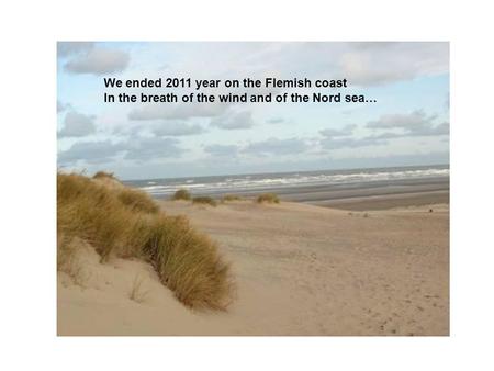 We ended 2011 year on the Flemish coast In the breath of the wind and of the Nord sea…